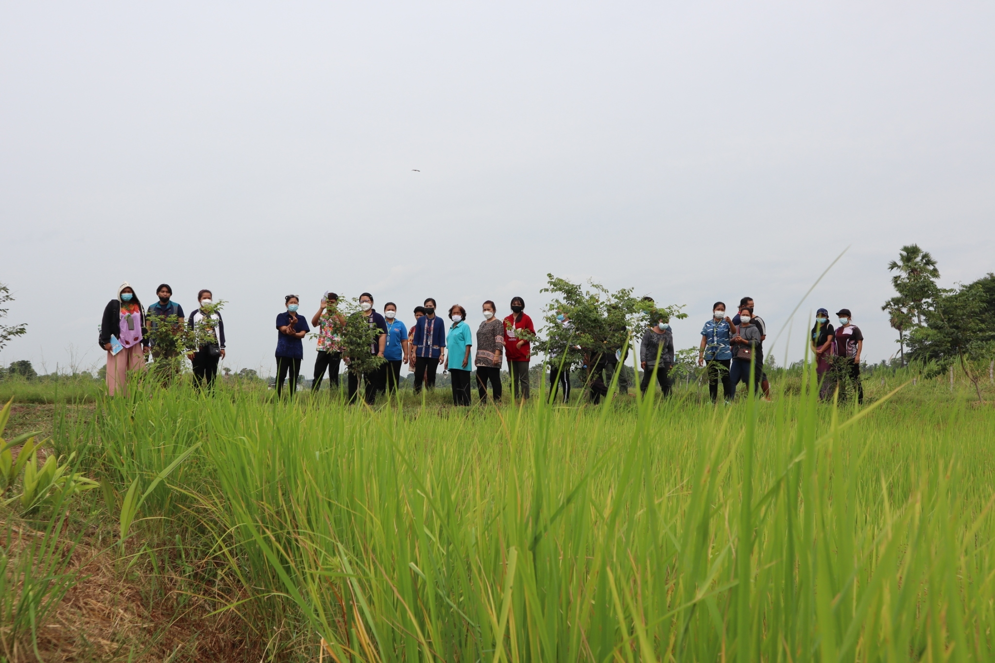 LINE_ALBUM_โคก หนอง นา โมเดล_๒๑๐๙๐๘